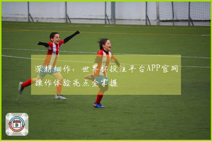 深耕细作，世界杯投注平台APP官网操作体验亮点全掌握