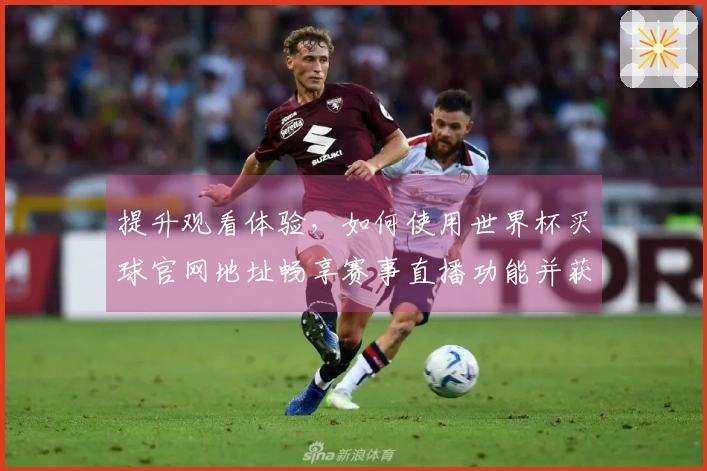 提升观看体验，如何使用世界杯买球官网地址畅享赛事直播功能并获取最新信息