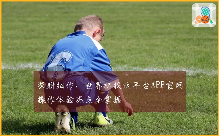 深耕细作，世界杯投注平台APP官网操作体验亮点全掌握