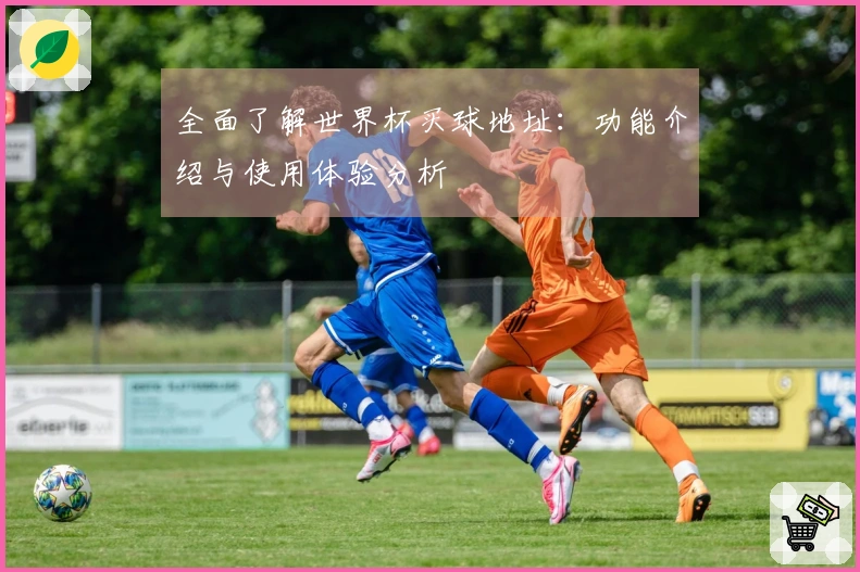 全面了解世界杯买球地址：功能介绍与使用体验分析