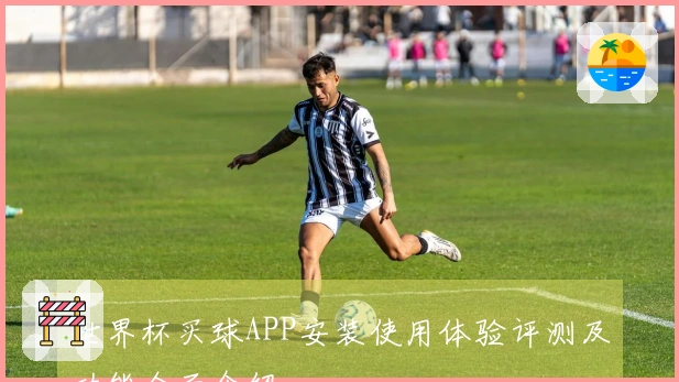 世界杯买球APP安装使用体验评测及功能全面介绍