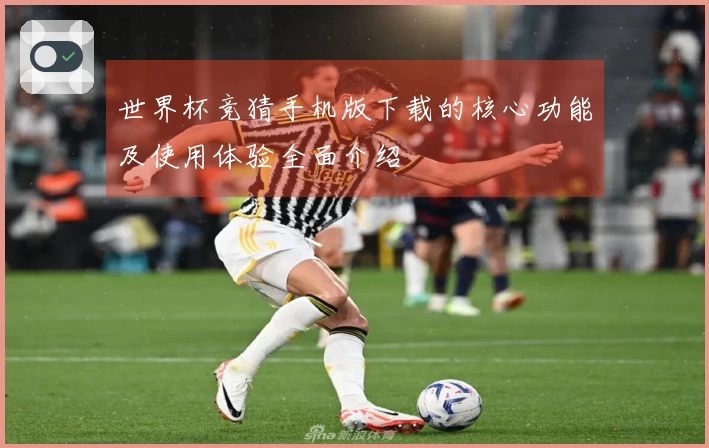 世界杯竞猜手机版下载的核心功能及使用体验全面介绍