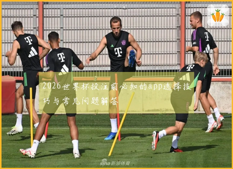 2026世界杯投注前必知的app选择技巧与常见问题解答