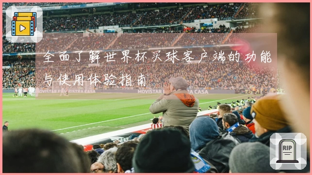 全面了解世界杯买球客户端的功能与使用体验指南