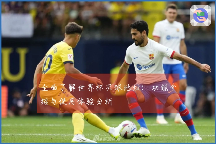 全面了解世界杯买球地址：功能介绍与使用体验分析